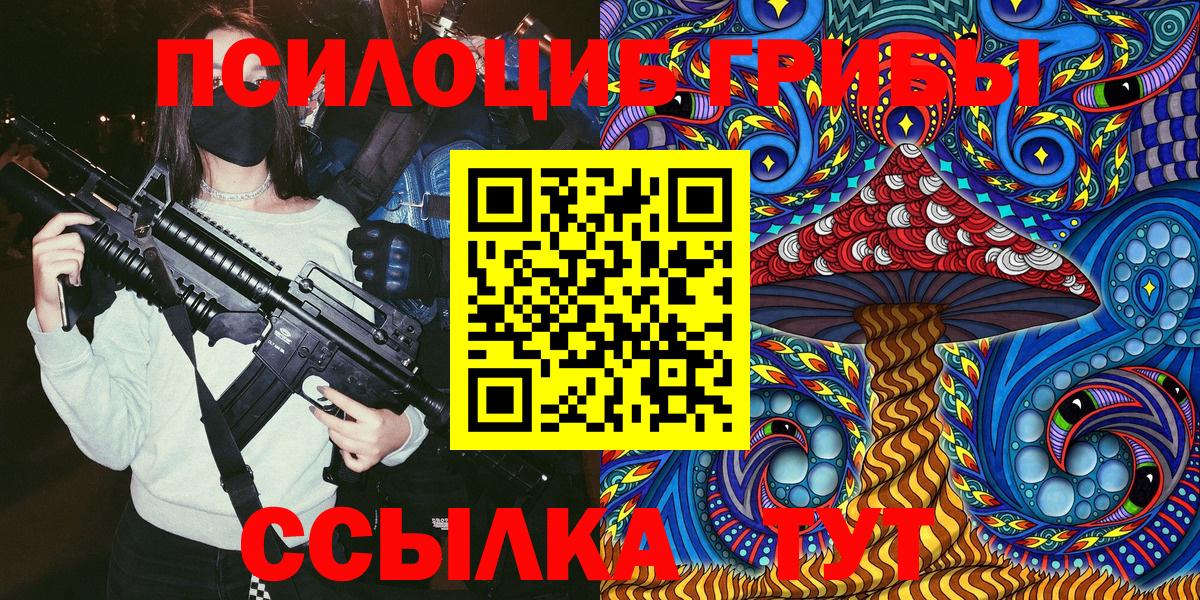 Кузнецк  Псилоцибиновые грибы Psilocybe  Вход с VPN 